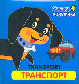  . . Transport (  )